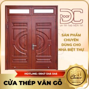 Cửa Thép Vân Gỗ DC24.TVG-2C.17